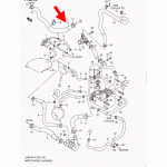 Патрубок, Шлангочки